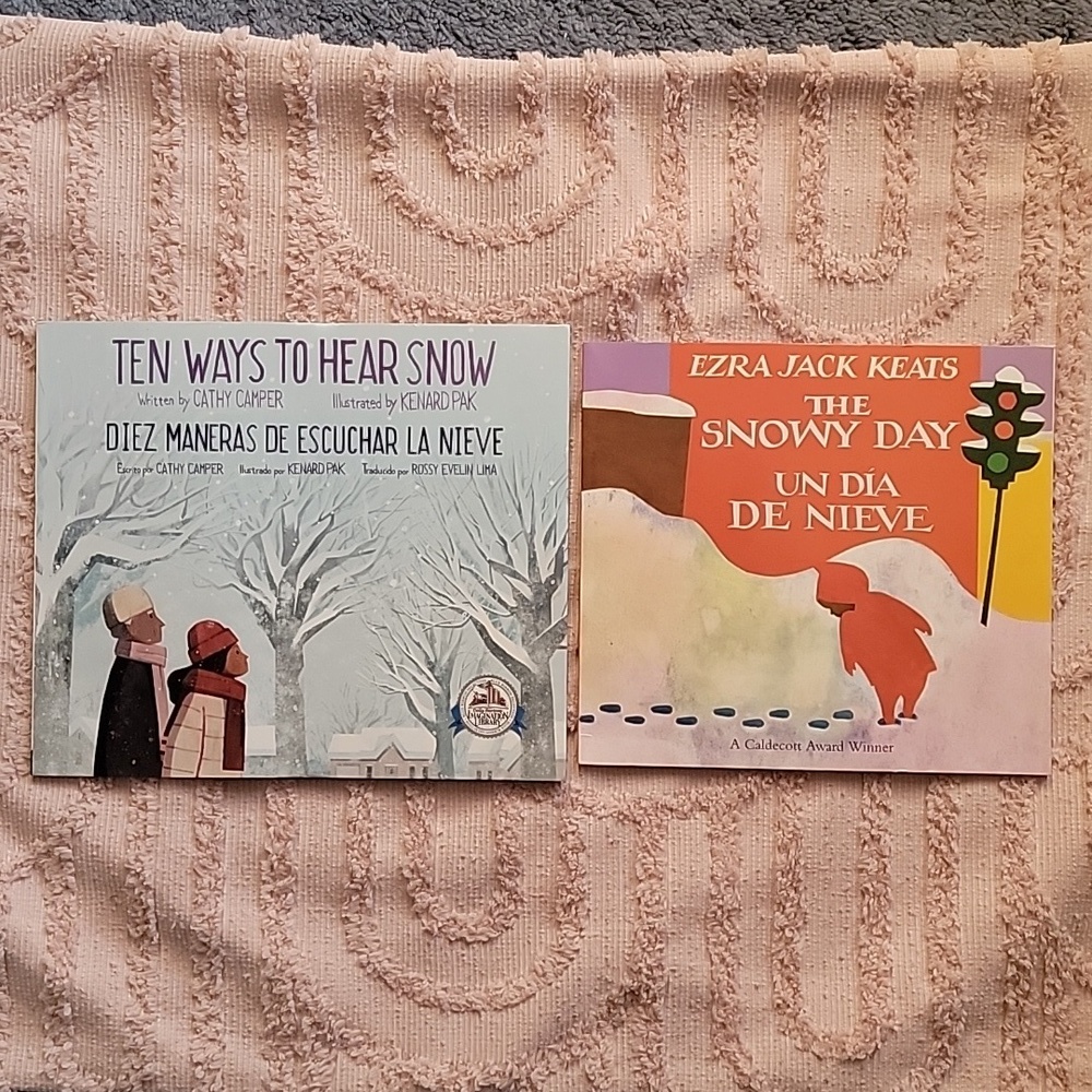 Two Children's Books, Ten Ways To Hear Snow and Snowy Day, NWOT.